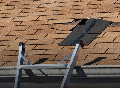 Roof Inspections